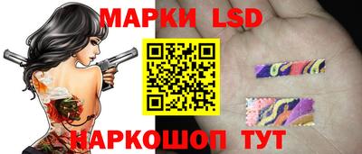 гидра Владимир