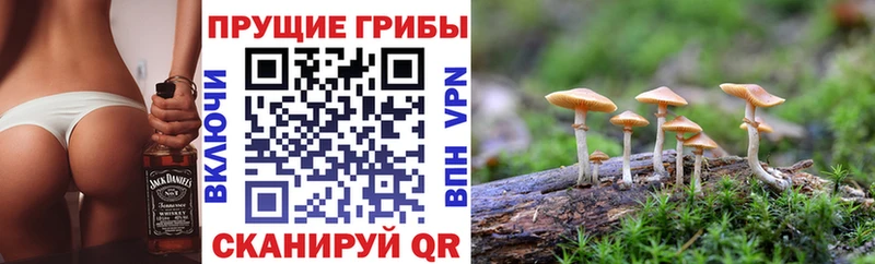 МЕГА ссылки Богородицк Галлюциногенные грибы прущие грибы