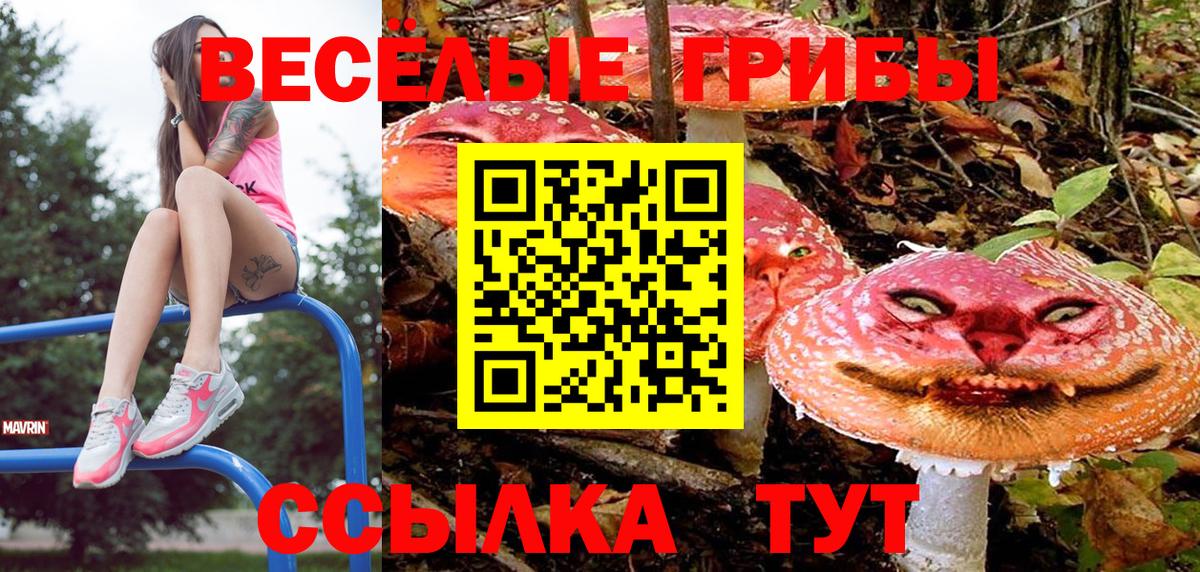 Богородицк  Псилоцибиновые грибы Psilocybine cubensis  Псилоцибиновые грибы Psilocybe  Вход с VPN 