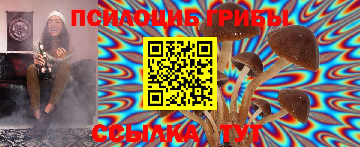 Псилоцибиновые грибы Cubensis Богородицк